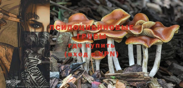 гашик Балабаново