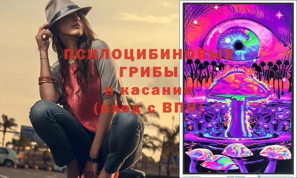 ПСИЛОЦИБИНОВЫЕ ГРИБЫ Балахна